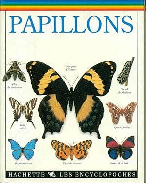 Les encyclopoches : papillons