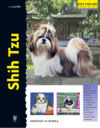 Shih Tzu (Excellence)