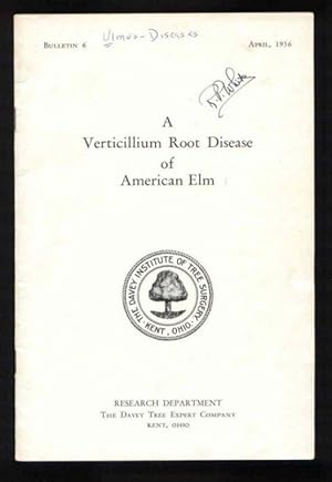 Seller image for A Verticillium Root Disease of American Elm (Bulletin 6) for sale by Ravenroost Books