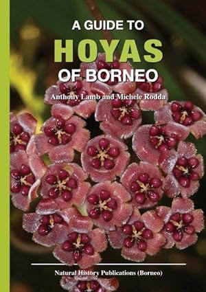 A Guide to the Hoyas of Borneo