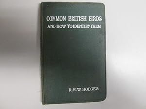 Seller image for COMMON BRITISH BIRDS AND HOW TO IDENTIFY THEM. for sale by Goldstone Rare Books