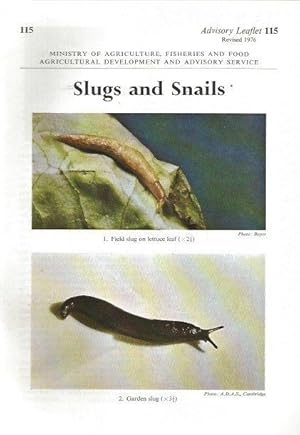 Slugs and Snails. Advisory Leaflet 115.