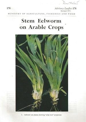 Bild des Verkufers fr Stem Eelworm on Arable Crops. Advisory Leaflet 178. zum Verkauf von C. Arden (Bookseller) ABA