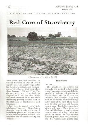 Bild des Verkufers fr Red Core of Strawberry. Advisory Leaflet 410. zum Verkauf von C. Arden (Bookseller) ABA