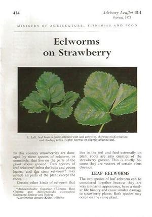 Bild des Verkufers fr Eelworms on Strawberry. Advisory Leaflet 414. zum Verkauf von C. Arden (Bookseller) ABA