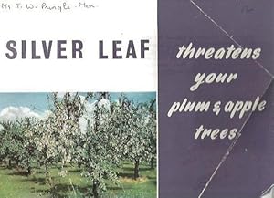 Silver Leaf: Threatens your plum & apple trees.