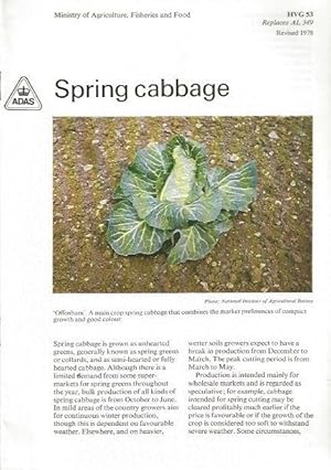 Immagine del venditore per Spring Cabbage. HVG 53. venduto da C. Arden (Bookseller) ABA