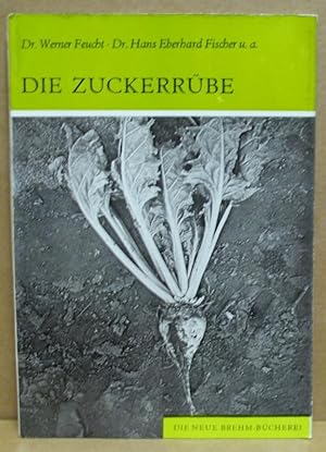 Die Zuckerrübe. Beta vulgaris. (Neue Brehm-Bücherei 387)