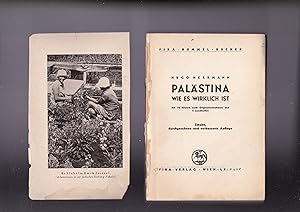 Seller image for Palästina wie es wirklich ist. Mit 72 Bildern nach Originalaufnahmen und 2 Landkarten. Zweite, durchgesehene und verbesserte Auflage for sale by Meir Turner