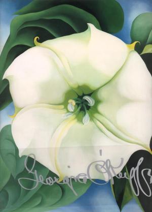 Seller image for Georgia O'Keeffe. Blumen. for sale by Altstadt Antiquariat Rapperswil