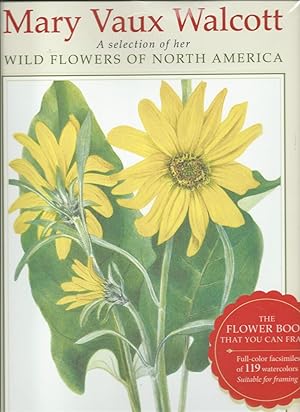 WILD FLOWERS OF NORTH AMERICA full color facsimiles of 119 watercolors