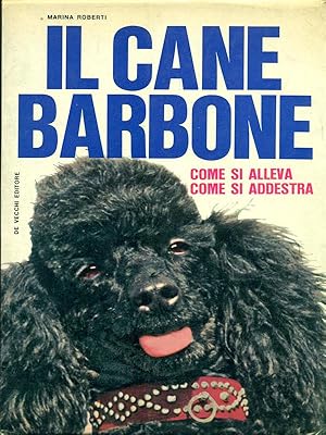 Il cane barbone