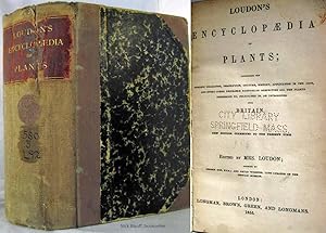 LOUDON'S ENCYCLOPAEDIA OF PLANTS