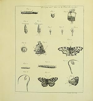 Mémoires pour servir à l'Histoire des insectes [Tome premier ? quatrième].