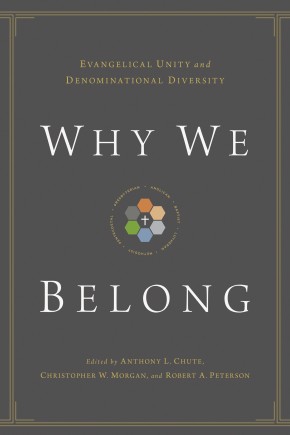 Bild des Verkufers fr Why We Belong: Evangelical Unity and Denominational Diversity zum Verkauf von ChristianBookbag / Beans Books, Inc.