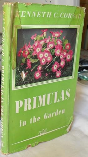 Primulas in the Garden.