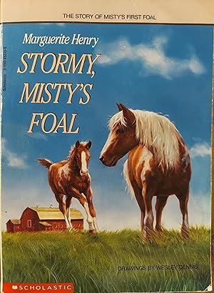 Seller image for Stormy, Misty's Foal for sale by The Book House, Inc.  - St. Louis
