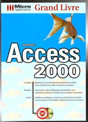 grand livre access 2000