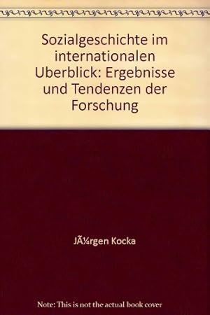 Sozialgeschichte im Internationalen Überblick