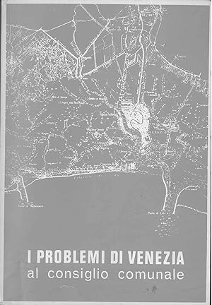 I problemi di Venezia al consiglio comunale