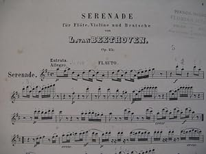 BEETHOVEN Sérénade Flute Alto Violon ca1910