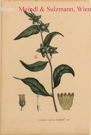 "Atropa belladone". (Blattnummer 48).