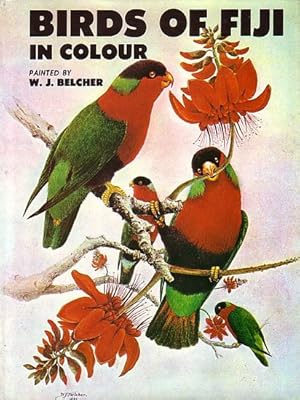 Image du vendeur pour BIRDS OF FIJI IN COLOUR mis en vente par Jean-Louis Boglio Maritime Books