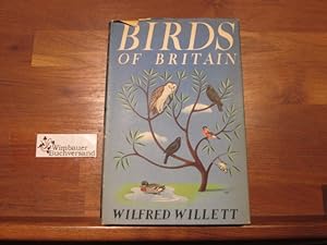 Birds of Britain (Young Naturalist)