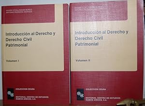 Imagen del vendedor de INTRODUCCION AL DERECHO Y DERECHO CIVIL PATRIMONIAL a la venta por Fbula Libros (Librera Jimnez-Bravo)