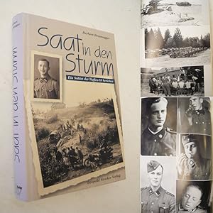 Seller image for Saat in den Sturm. Ein Soldat der Waffen-SS berichtet for sale by Galerie fr gegenstndliche Kunst