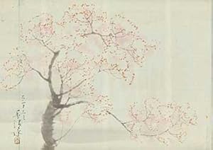 [Cherry Blossom Tree].