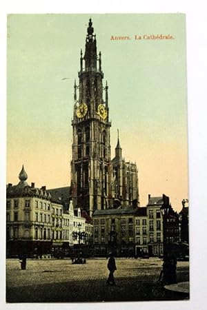 Anvers. La Cathedrale.