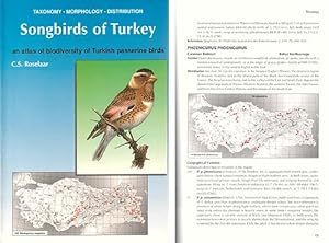 Immagine del venditore per Songbirds of Turkey: an atlas of biodiversity of Turkish passerine birds. venduto da Andrew Isles Natural History Books