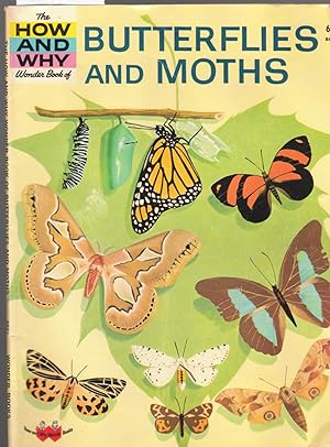 The How and Why Wonder Book of Butterflies and Moths - No. 5037 in Series