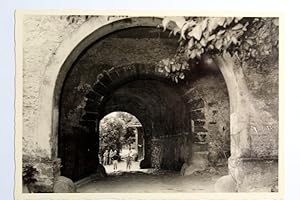 Burg Sternberg. Extertal. NRW. Portal.