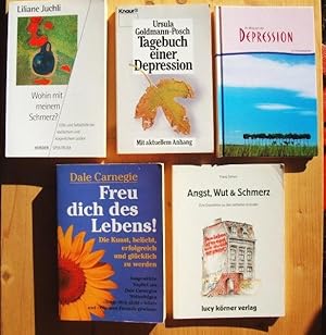 Bild des Verkufers fr Konvolut mit fnf Bcher: 1. Wohin mit meinem Schmerz? ; 2. Angst, Wut & Schmerz. Eine Expedition zu den verflixten Grnden ; 3. Ihr Weg aus der Depression - Ihr Therapiebegleiter ; 4. Tagebuch einer Depression. ; 5. Freu Dich des Lebens: Die Kunst, beliebt, erfolgreich und glcklich zu werden zum Verkauf von Versandantiquariat Manuel Weiner