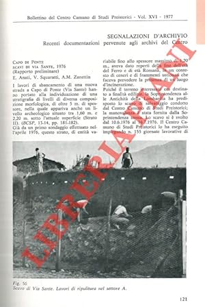 Capo di Ponte. Scavi di Via Sante, 1976 (rapporto preliminare) .