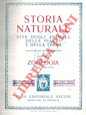 Seller image for Storia naturale. Vita degli animali, delle piante e della terra. Volume II. Zoologia (Rettili - Anfibi - Pesci). for sale by Libreria Piani