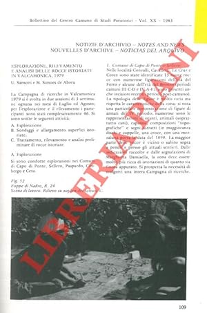 Esplorazione, rilevamento e analisi delle rocce istoriate in Valcamonica, 1979. Scavi al Riparo 2...