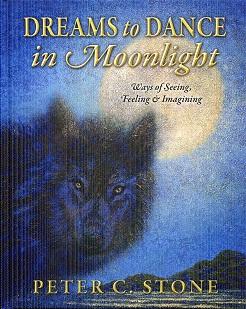 Seller image for Dreams to Dance in Moonlight: Ways of Seeing, Feeling & Imagining for sale by The Book Faerie