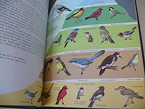 Seller image for James Fisher and Roger Tory Peterson's World of birds for sale by Thomas F. Pesce'