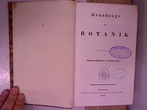 Seller image for Grundzge der Botanik. for sale by Antiquariat Bookfarm