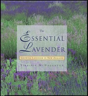 Immagine del venditore per The Essential Lavender : Growing Lavender in New Zealand. venduto da Lost and Found Books