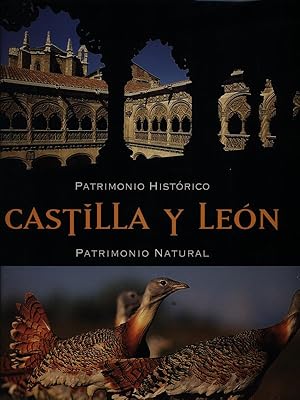 Immagine del venditore per Castilla Y Leon - Patrimonio Historico y Natural venduto da Librodifaccia