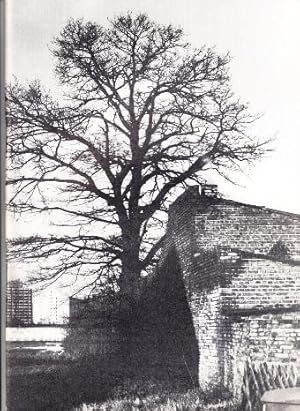 Bild des Verkufers fr Baum in der Stadt. Eine Demonstration. zum Verkauf von Buchversand Joachim Neumann