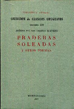 Immagine del venditore per Praderas soleadas y otros poemas venduto da Rincn de Lectura