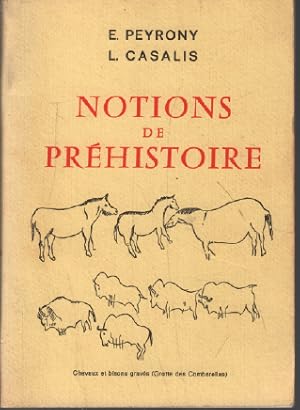 Notions de préhistoire