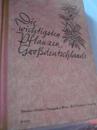 Seller image for Die wichtigsten Pflanzen Grodeutschlands for sale by Alte Bcherwelt