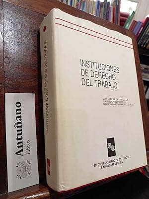 Seller image for Instituciones de derecho del trabajo for sale by Libros Antuano