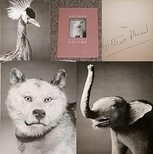 Imagen del vendedor de ANIMAL: PHOTOGRAPHS BY BETTINA RHEIMS - Rare Fine Copy of The First Hardcover Edition/First Printing: Signed by Bettina Rheims - ONLY SIGNED COPY ONLINE a la venta por ModernRare